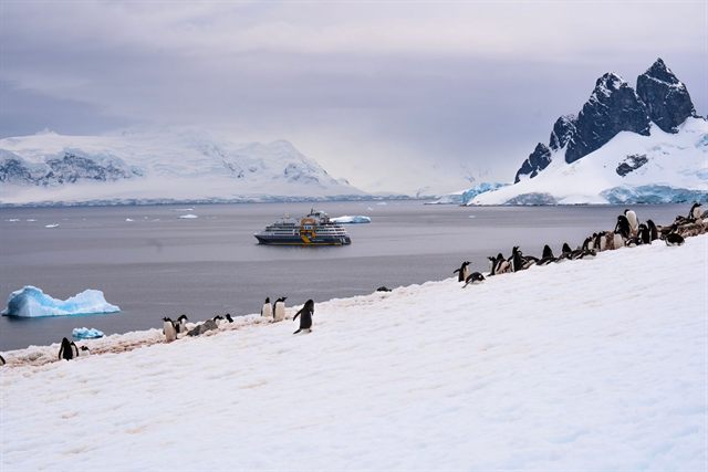 Penguins and an expedition ship in Antarctica